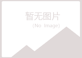 邛崃山柳机械有限公司